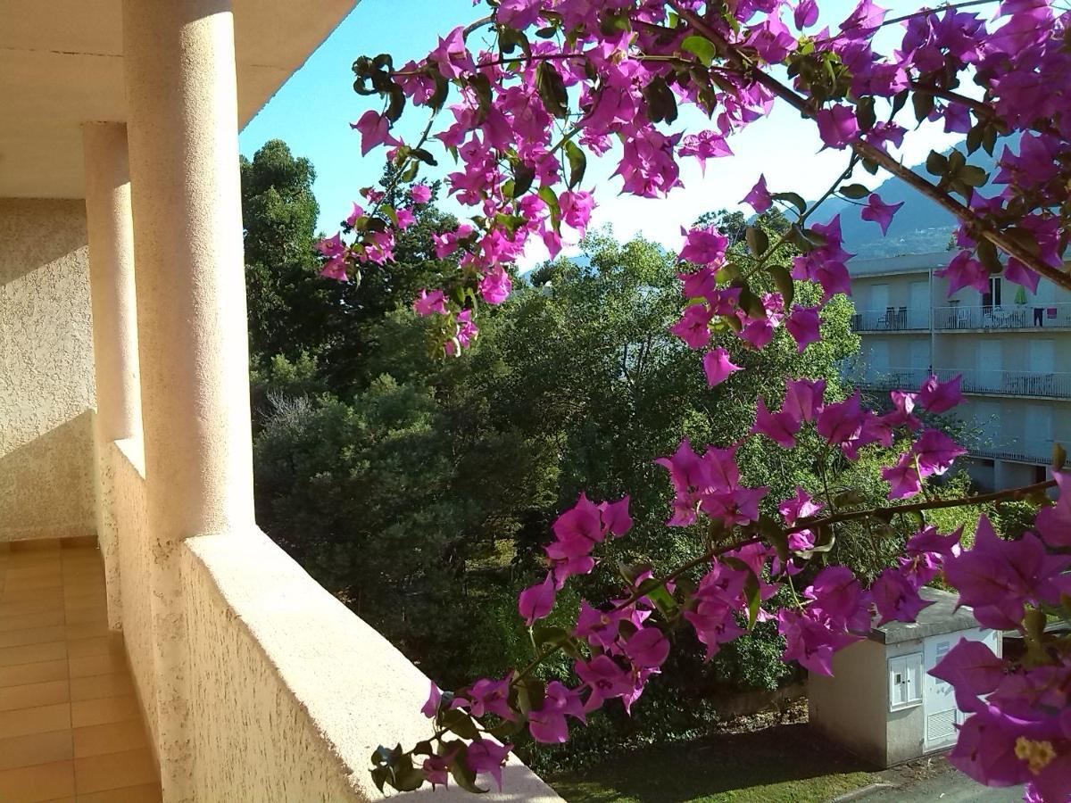 Apartamento Cala Di Sognu San-Nicolao Exterior foto